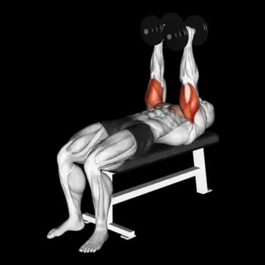 Dumbbell Press (Close Grip)