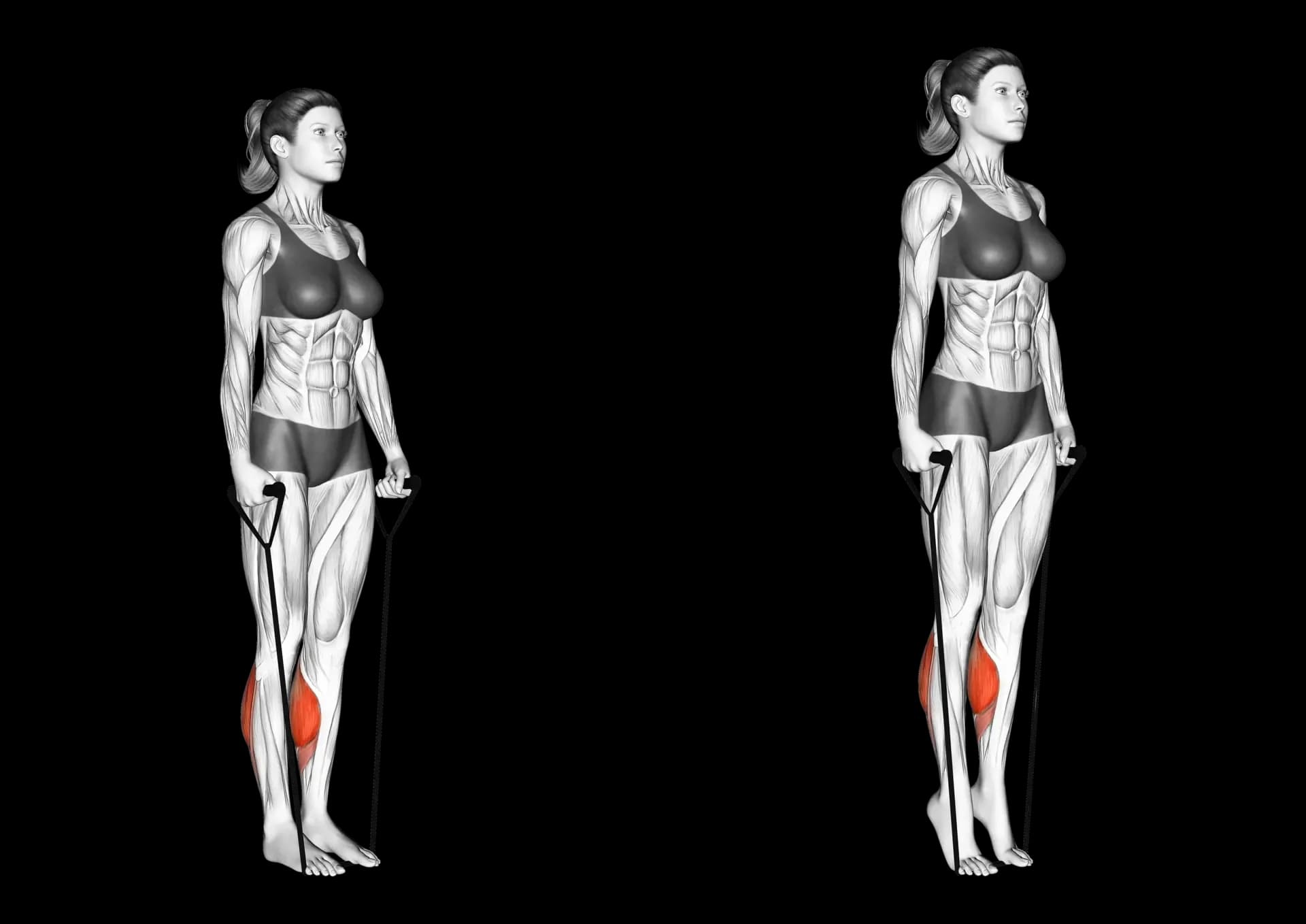 Band Calf Raise