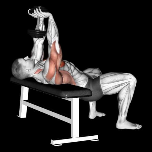 Dumbbell Pullover (Bridge Position)