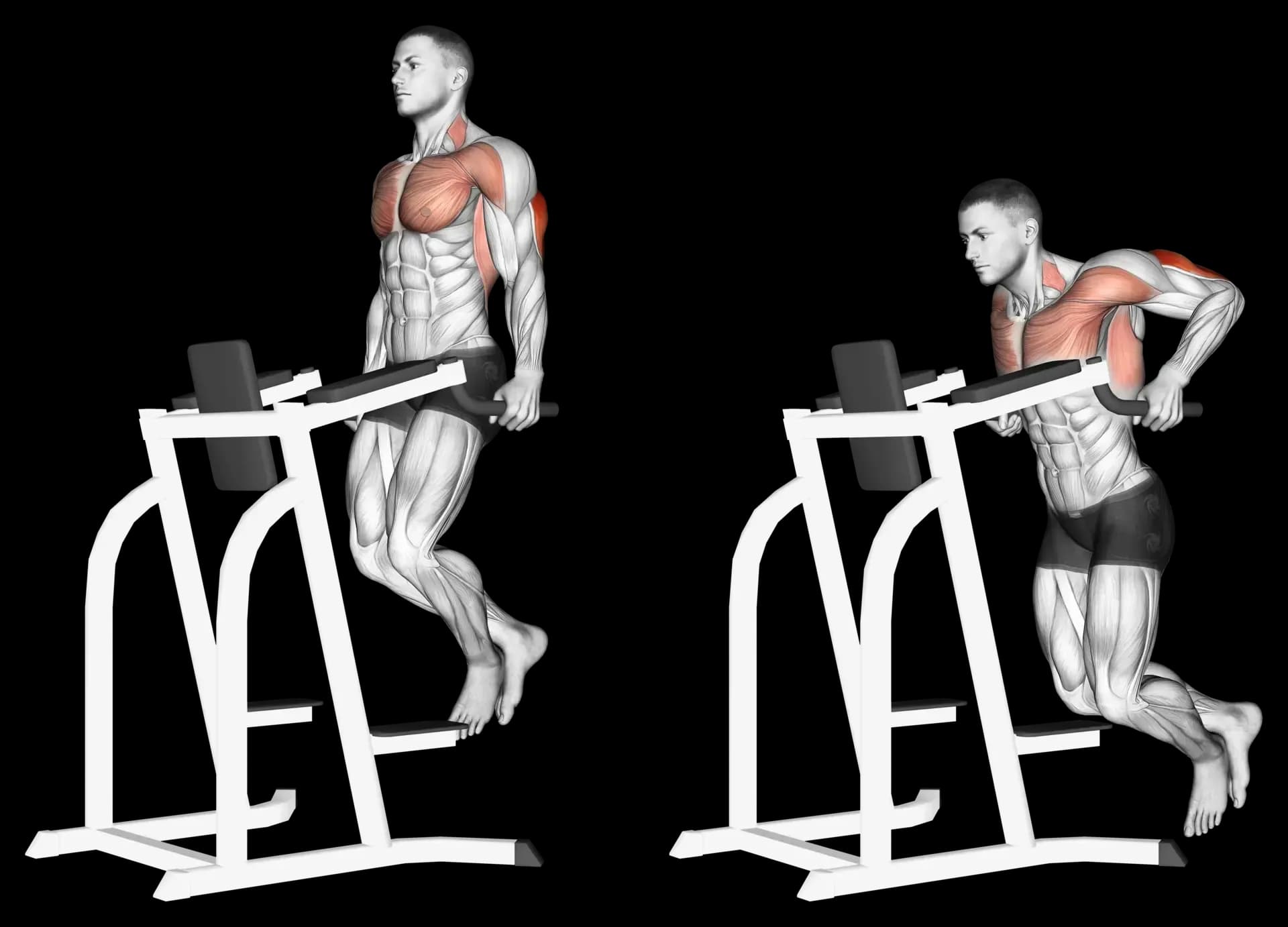 Triceps Dip