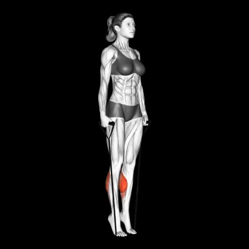 Band Calf Raise