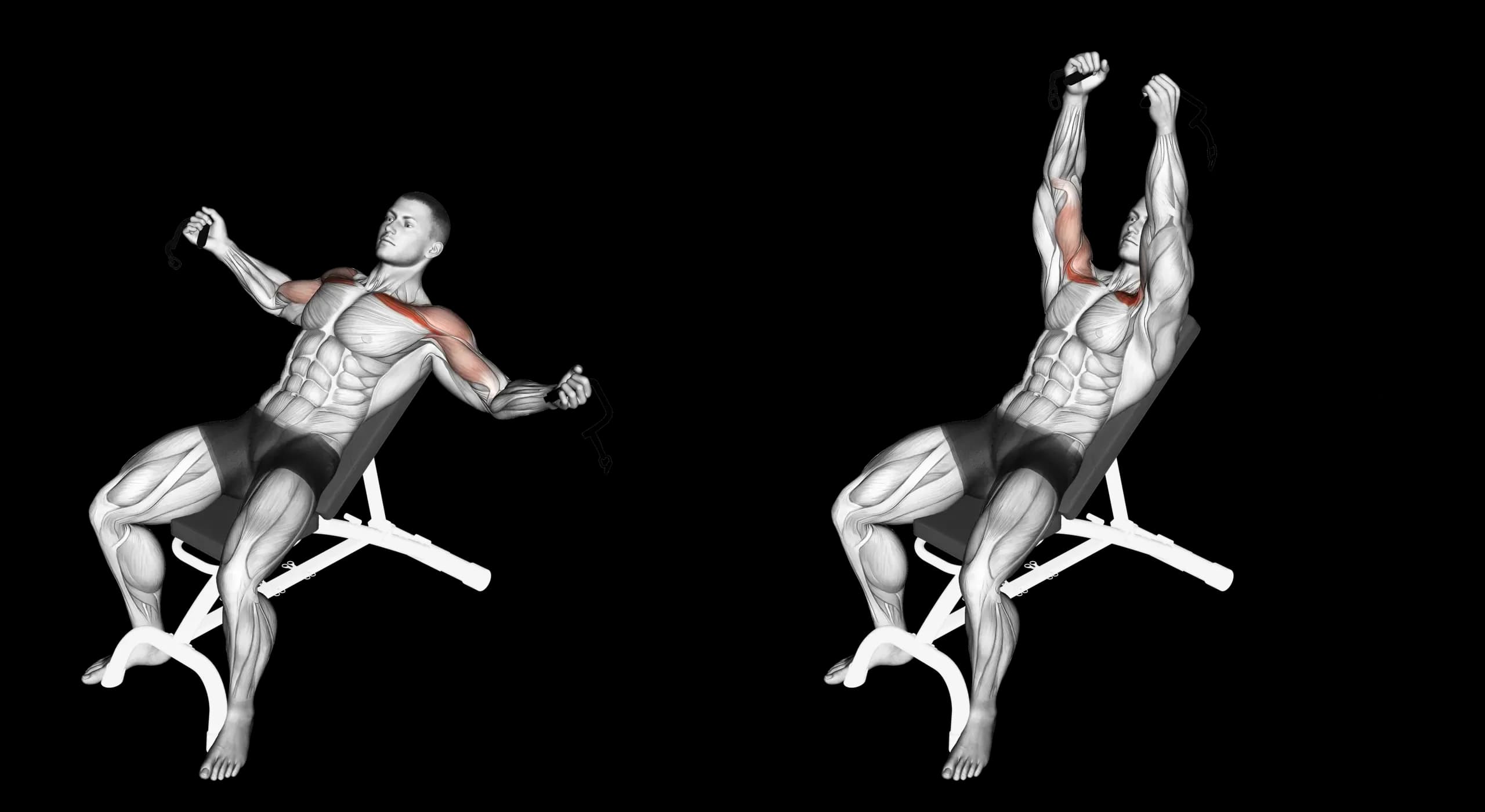 Cable Incline Fly