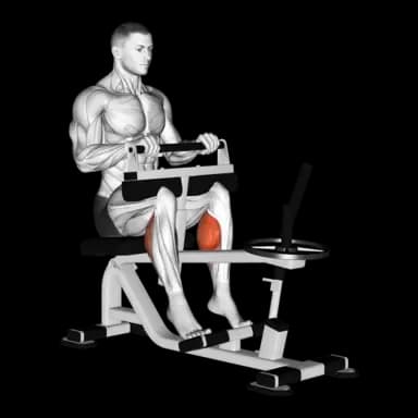 Machine Seated Calf Raise