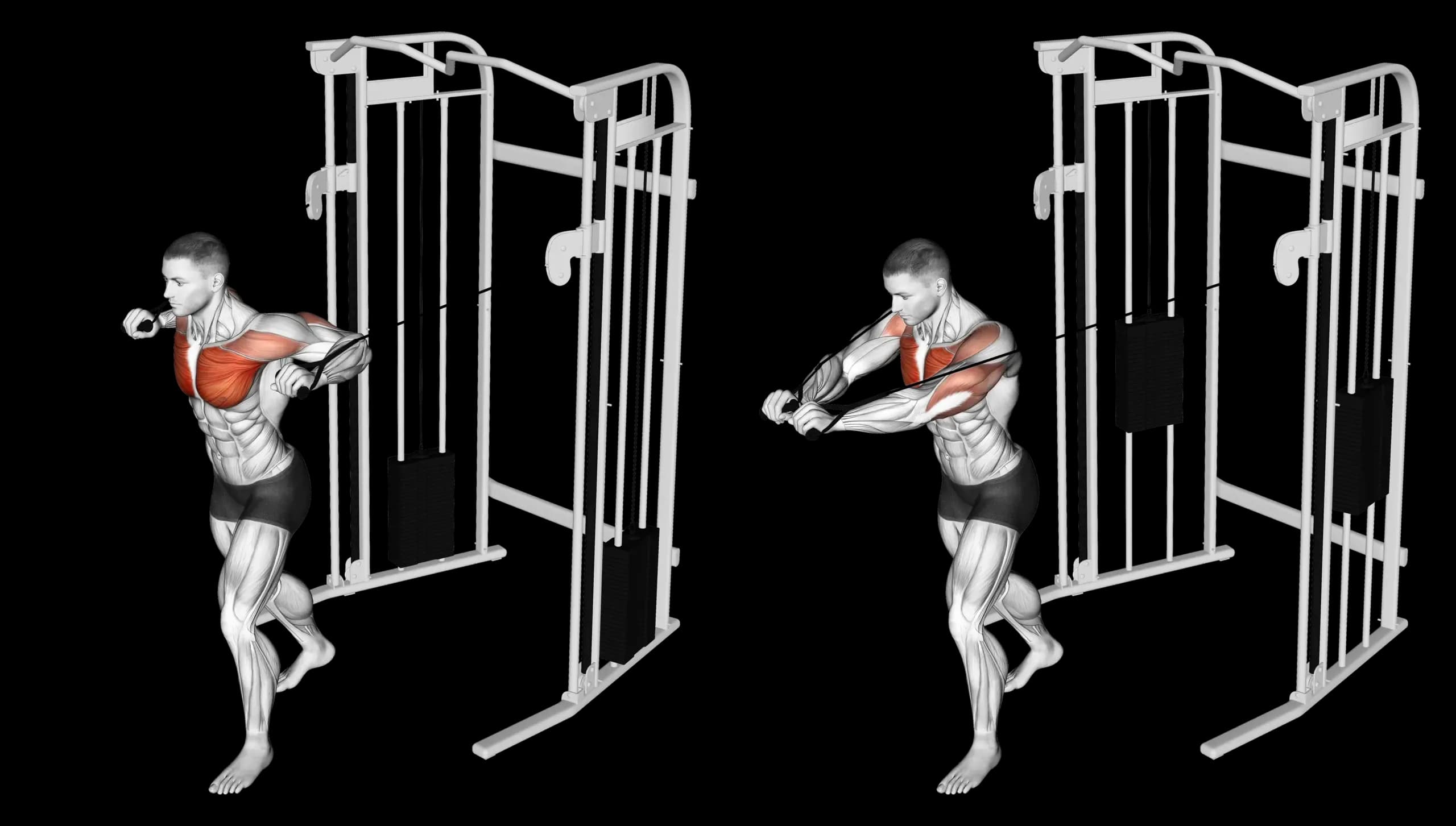 Cable Standing Chest Press