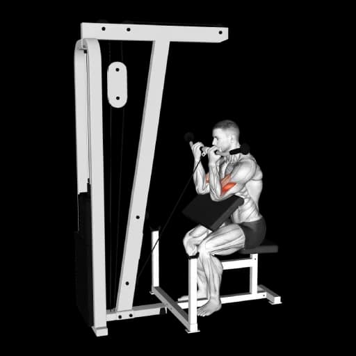 Cable Preacher Curl