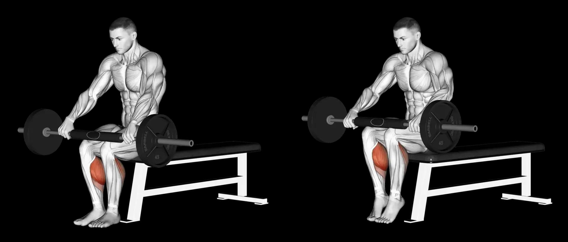 Barbell Seated Calf Raise