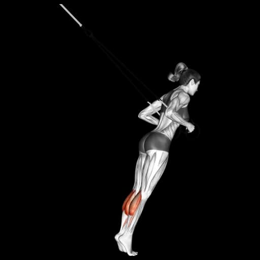 TRX Calf Raise