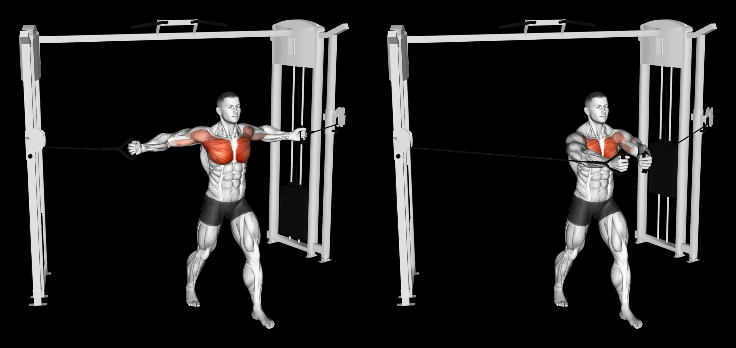 Middle Cable Chest Fly