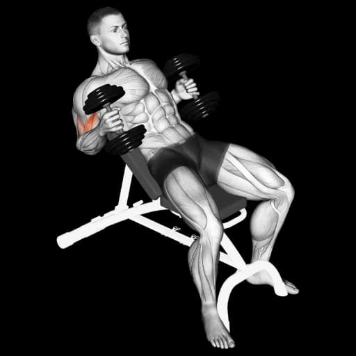 Dumbbell Incline Hammer Curl