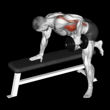 Dumbbell Single-Arm Bent-Over Row