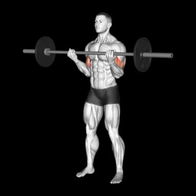 Barbell Curl
