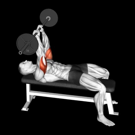 Barbell Skull Crusher
