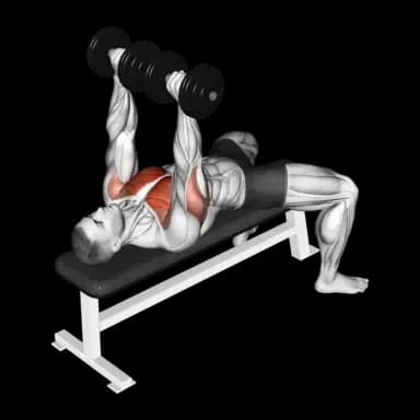 Dumbbell Bench Press