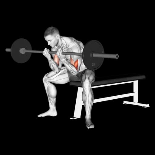 Barbell Concentration Curl