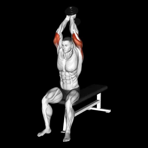 Dumbbell Seated Triceps Extension