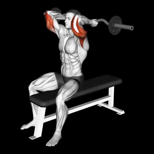 EZ Bar Seated Overhead Triceps Extension