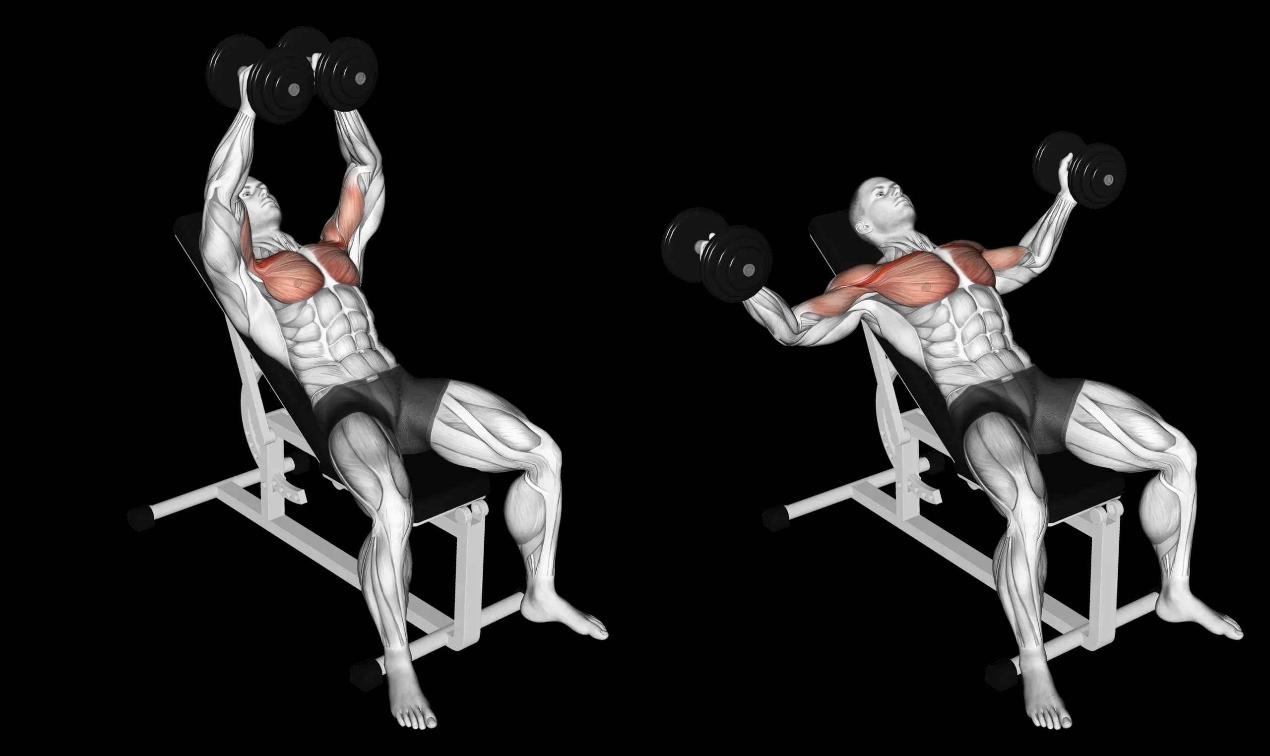 Dumbbell Incline Fly