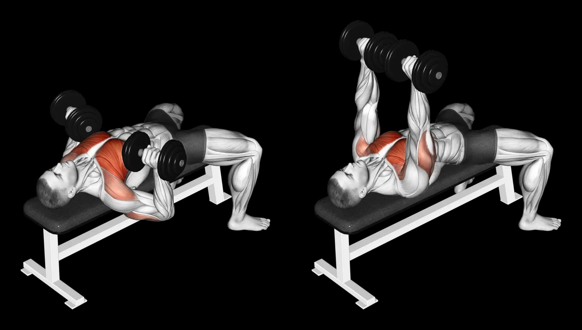 Dumbbell Bench Press