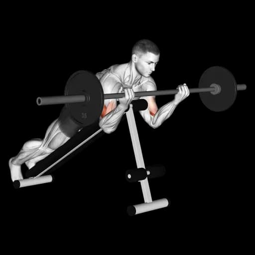 Barbell Incline Curl