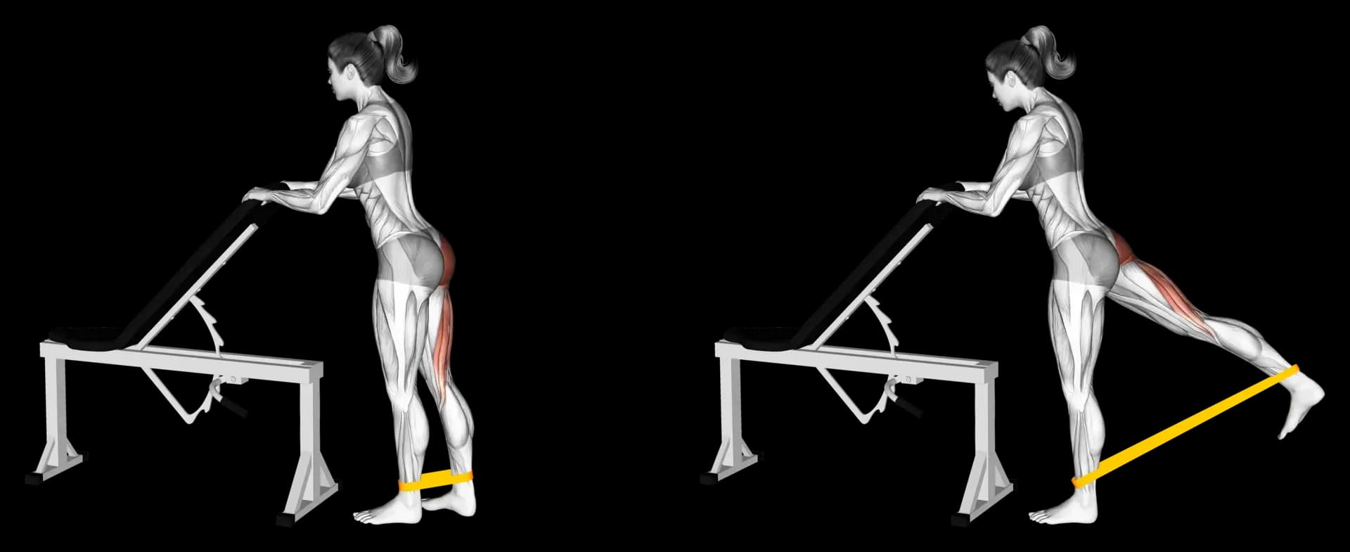 Band Single-Leg Kickback
