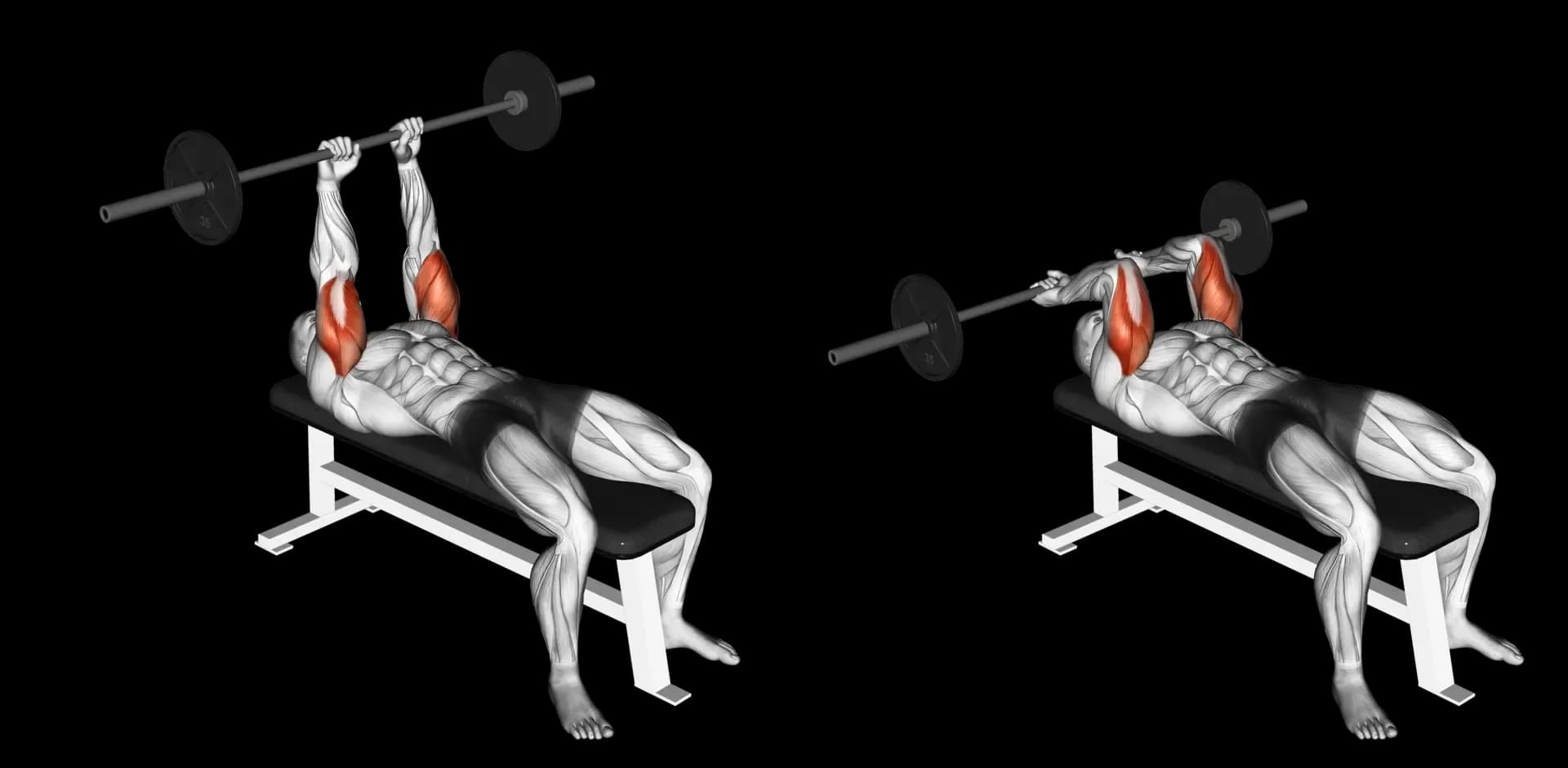 Barbell Lying Triceps Extension