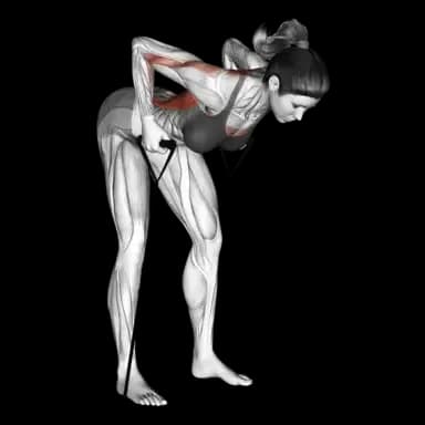 Band Bent-Over Row