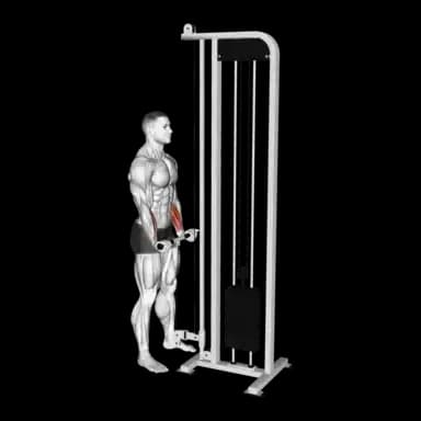 Cable Standing Wrist Curl