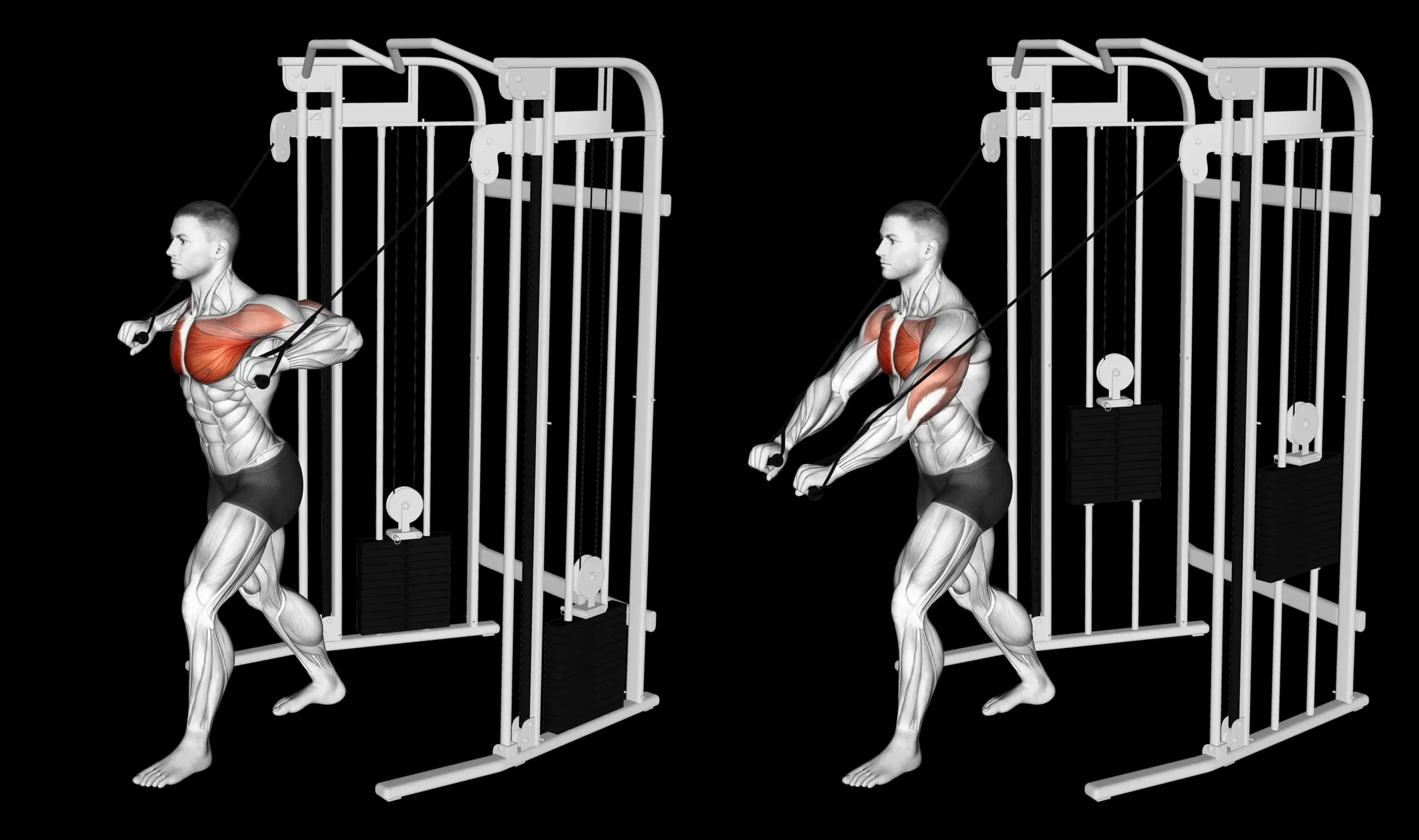 Cable Low Chest Press