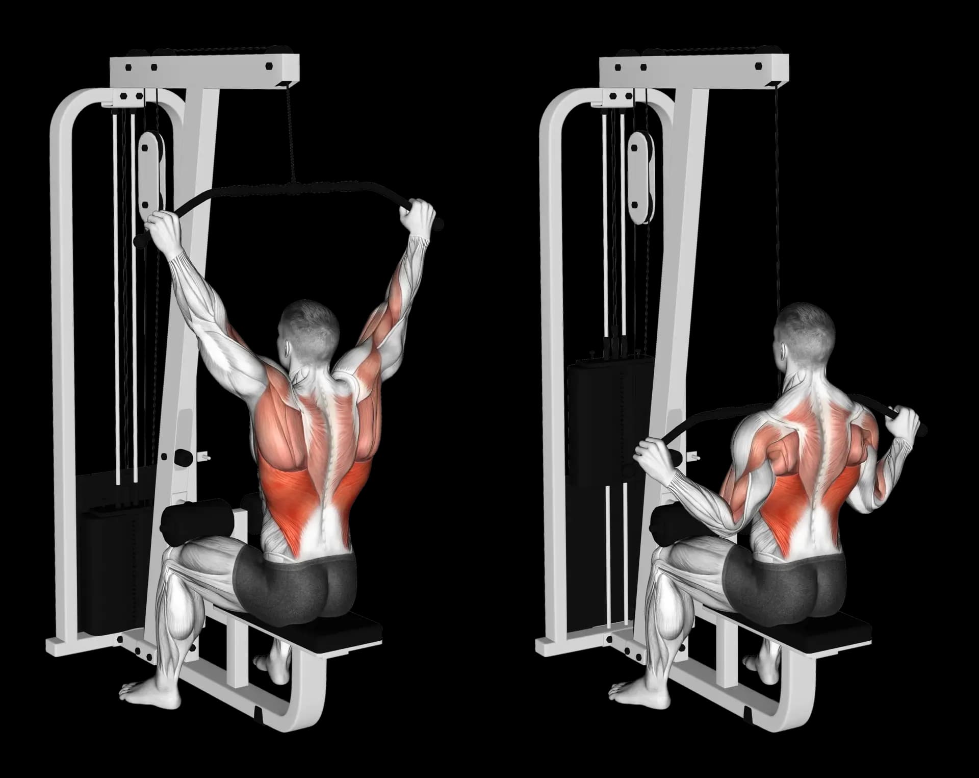 Cable Lat Pulldown (Wide Grip)