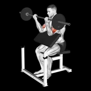 Barbell Preacher Curl