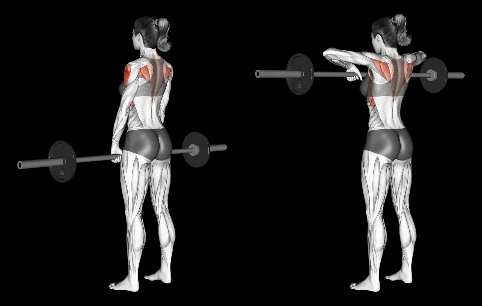 Barbell Upright Row