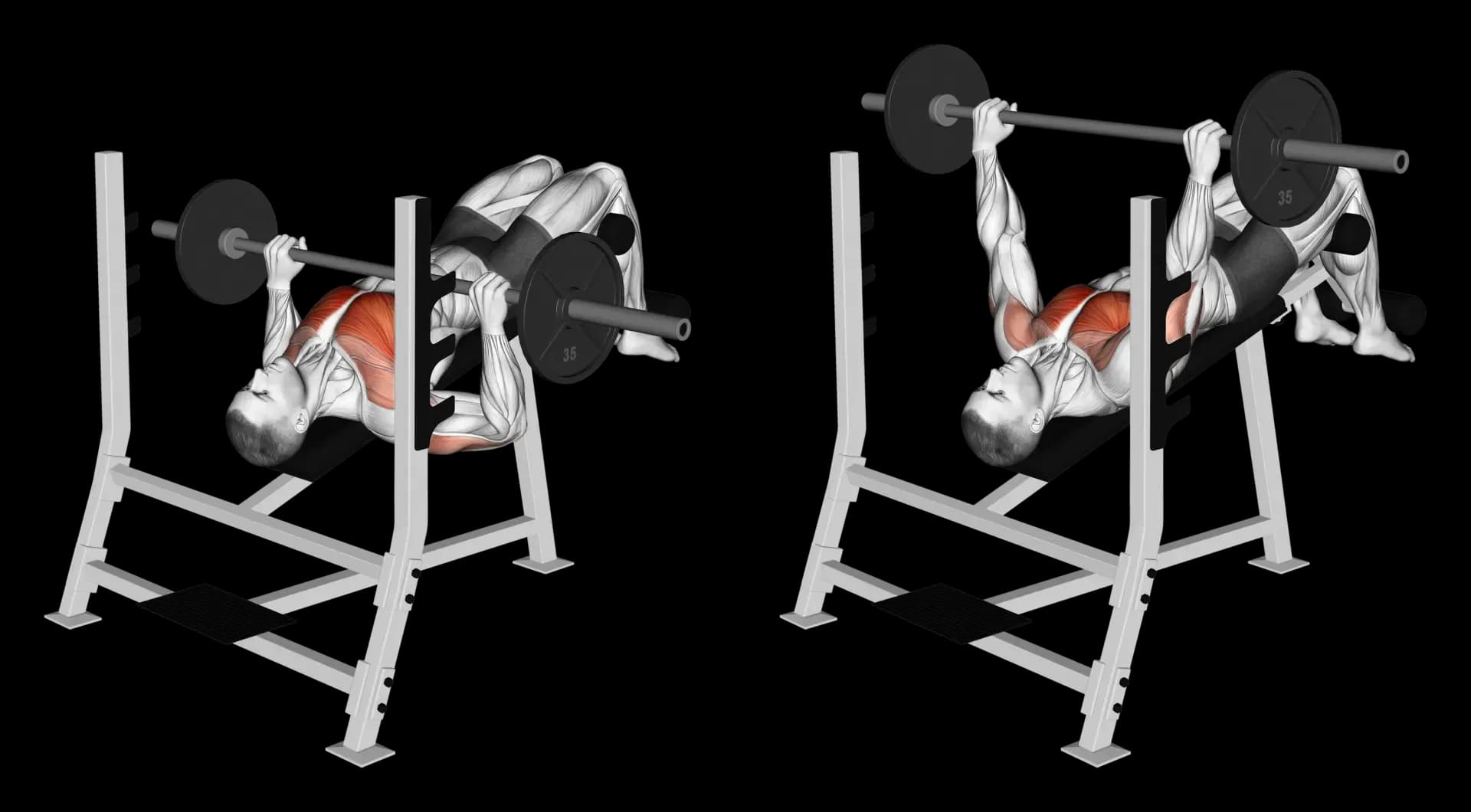 Barbell Decline Bench Press