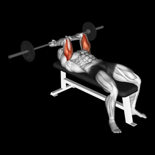 Barbell Lying Triceps Extension