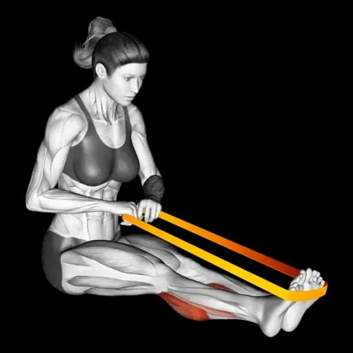 Band Seated Calf Raise