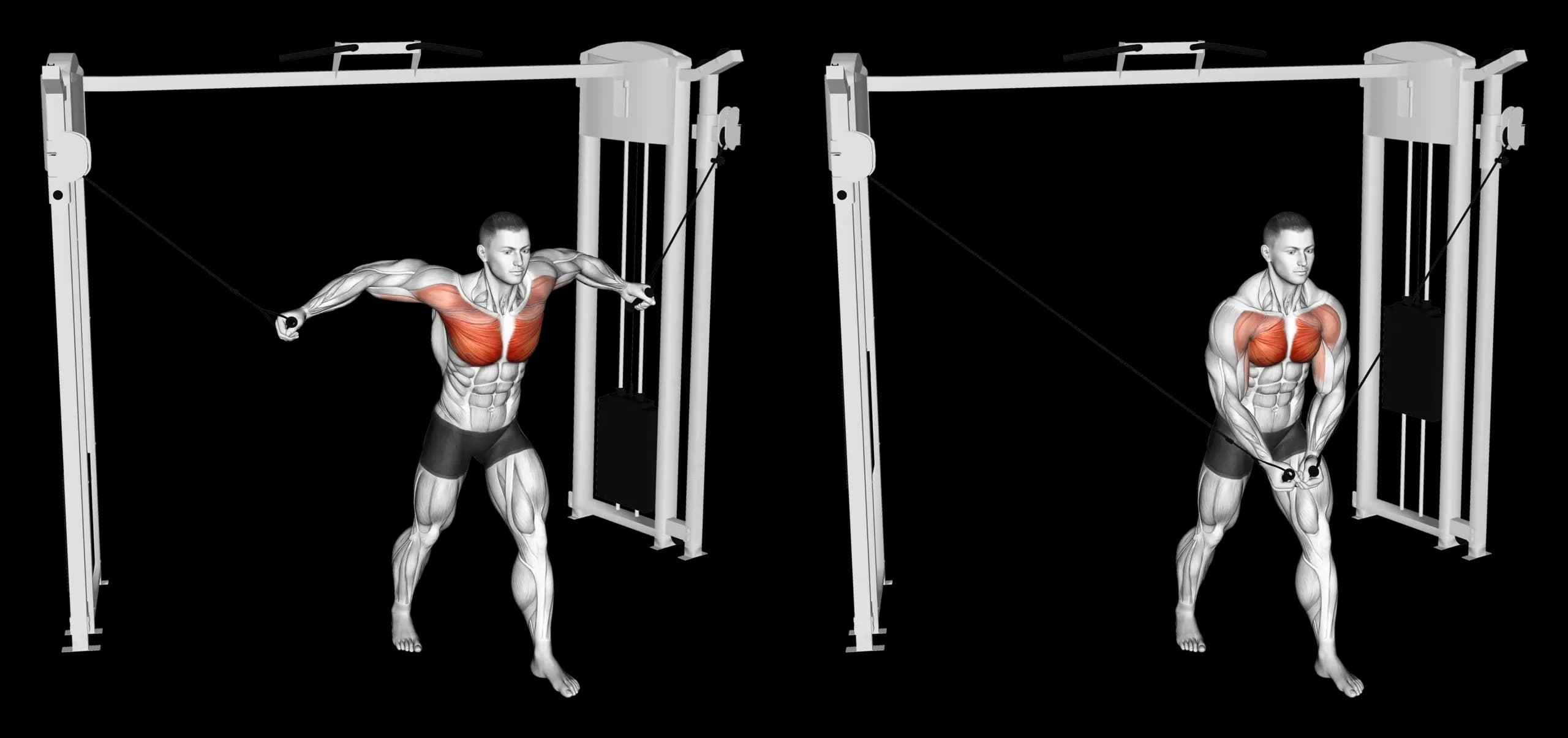 High Cable Chest Fly