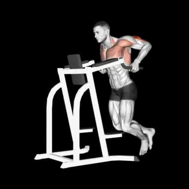 Triceps Dip