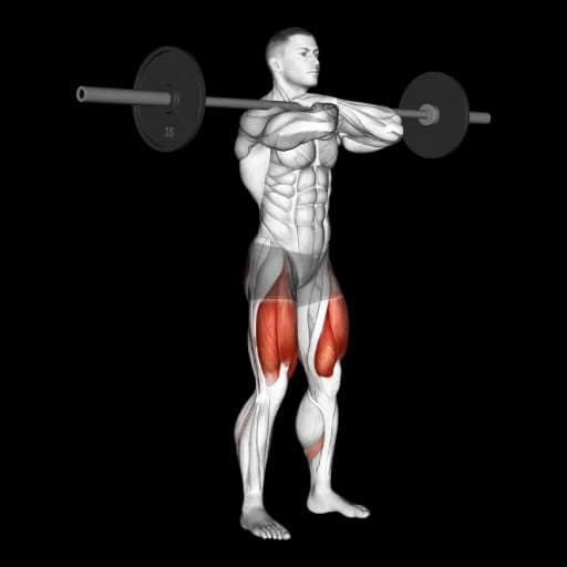 Barbell Front Squat