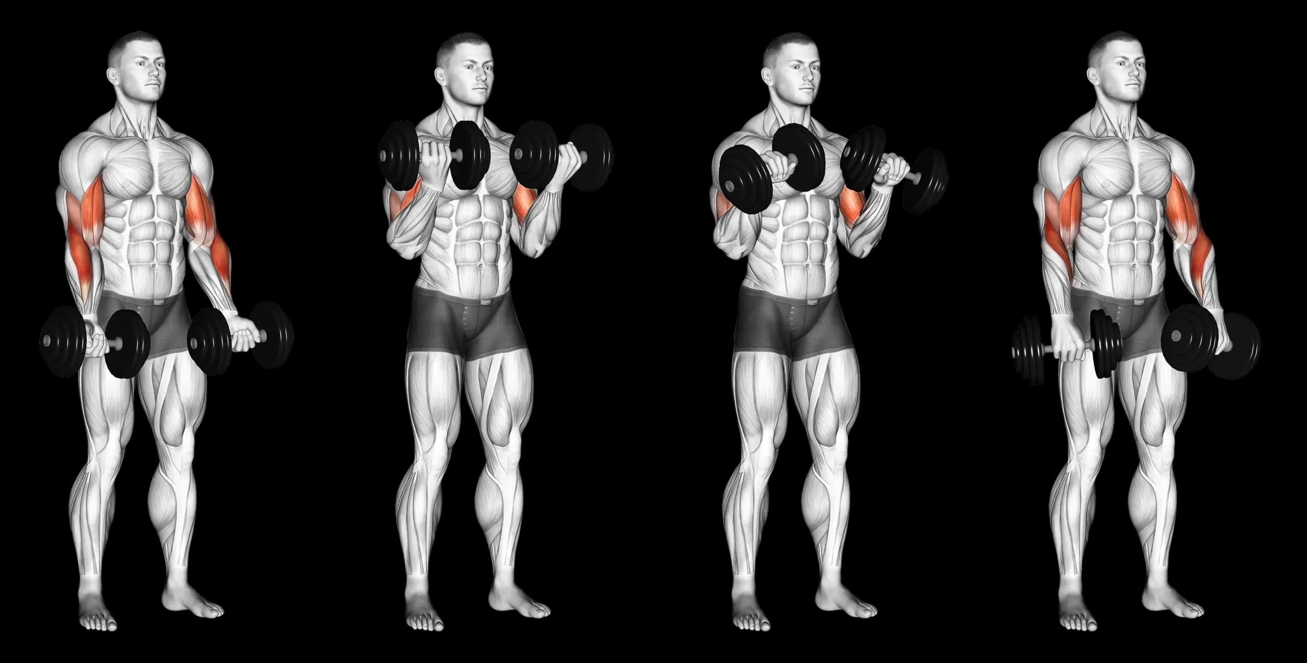Dumbbell Zottman Curl