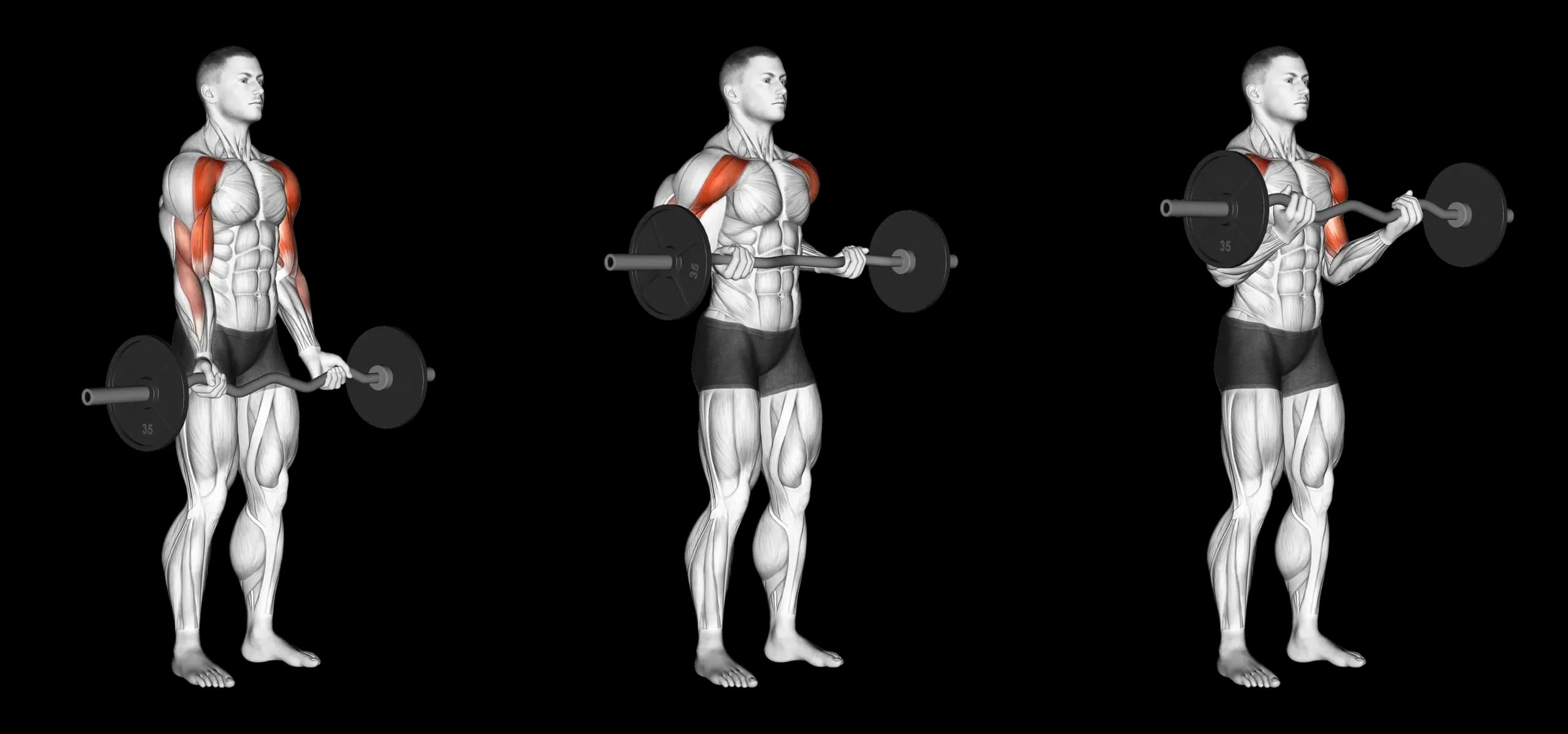 EZ Bar Drag Curl