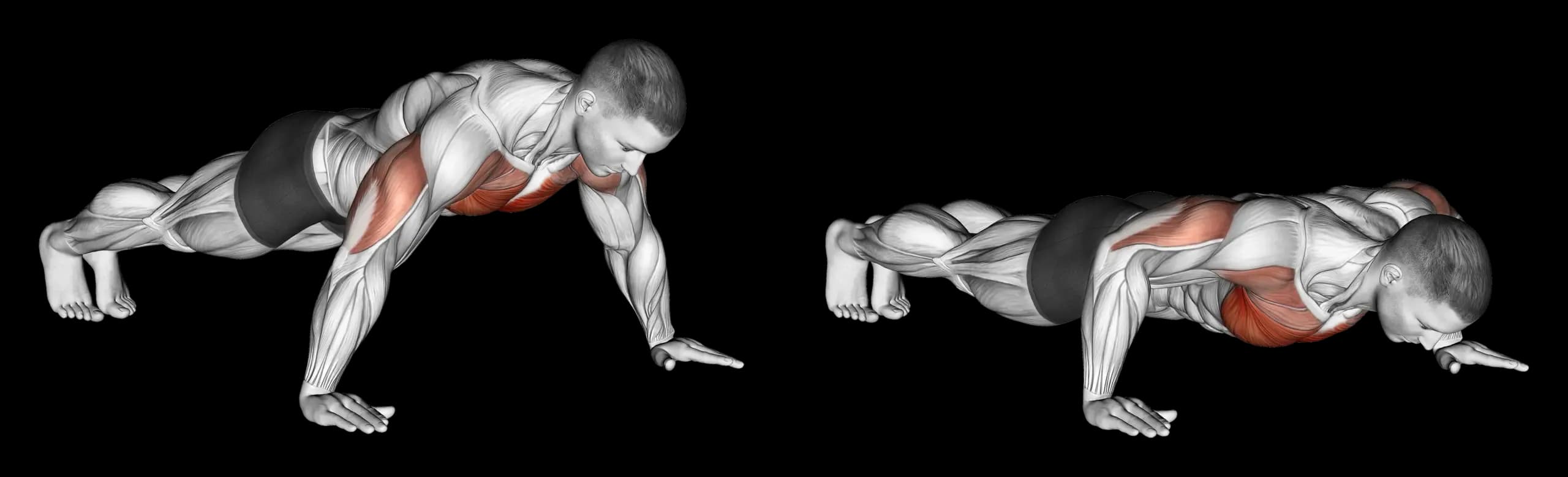 Wide Hand Push-Up