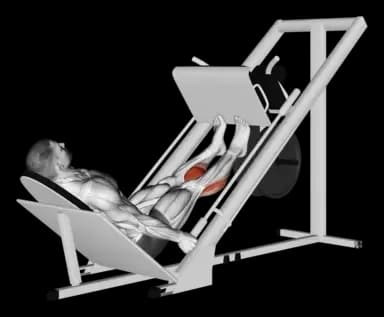 Leg Press Calf Raise