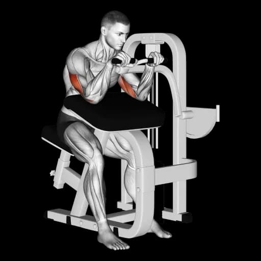 Machine Triceps Extension