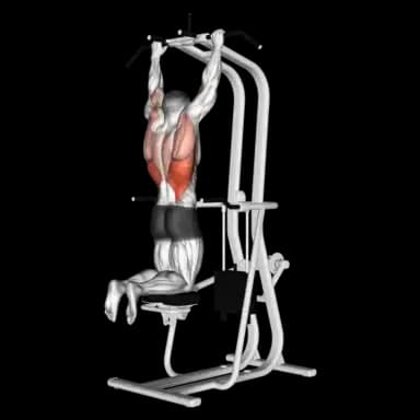 Assisted Pull-Up