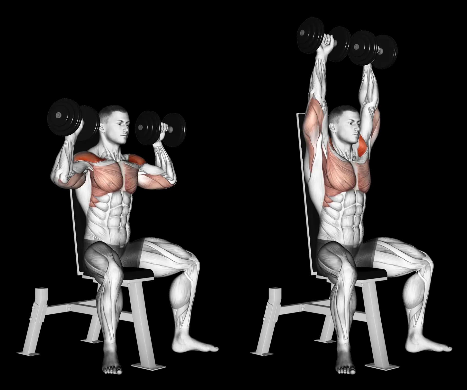 Dumbbell Shoulder Press