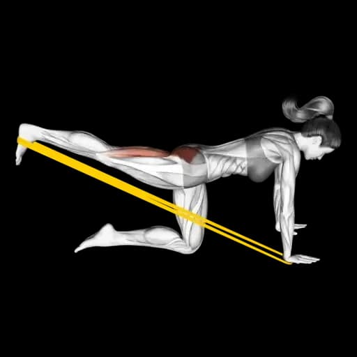 Band Kneeling Single-Leg Kickback