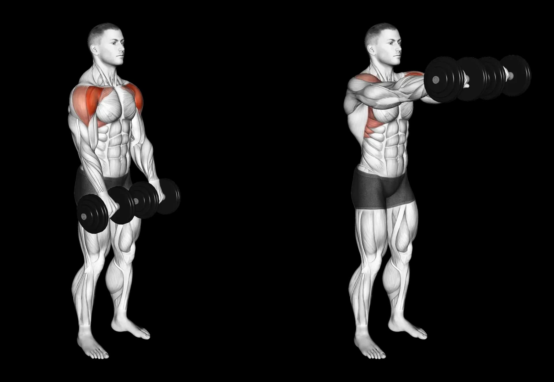 Dumbbell Front Raise