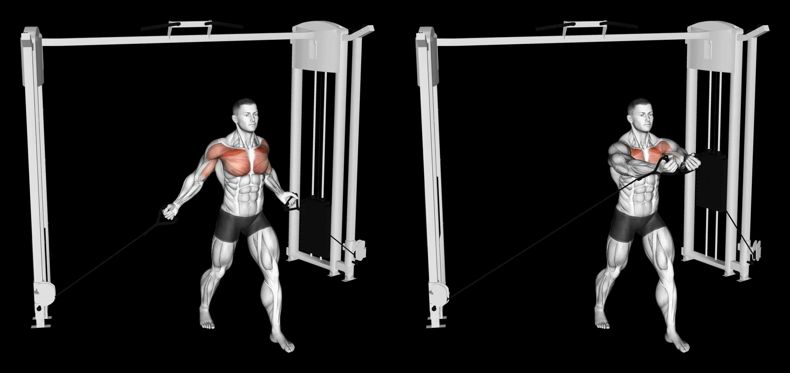 Low Cable Chest Fly