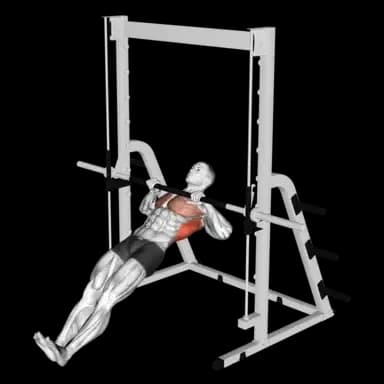 Barbell Inverted Row