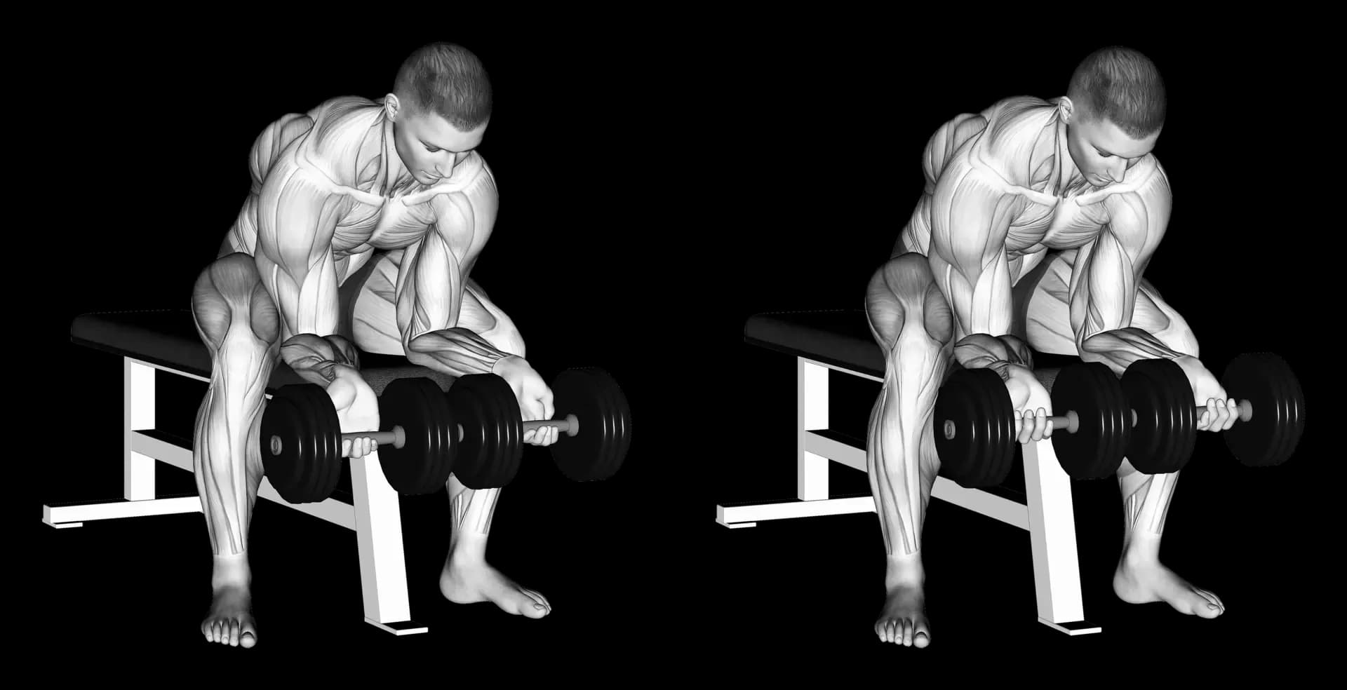 Dumbbell Finger Curls