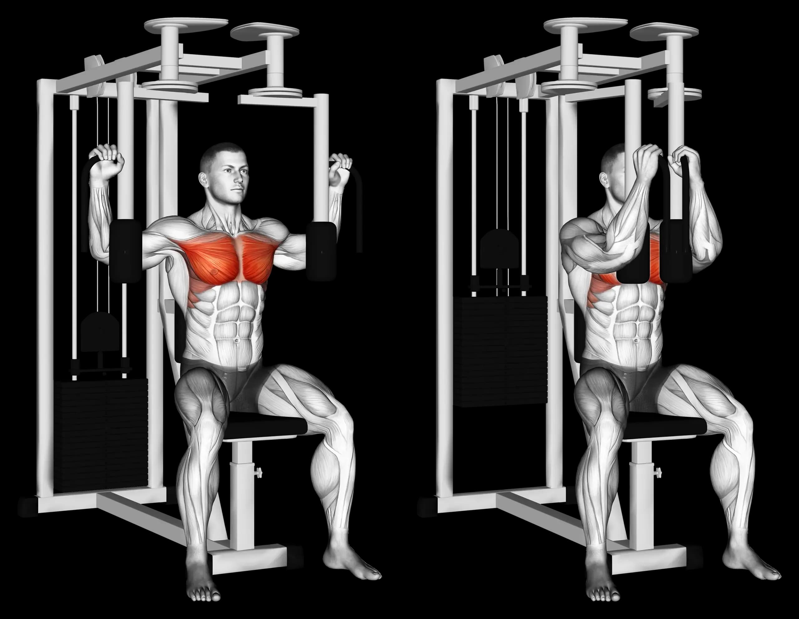 Machine Pec Deck Fly